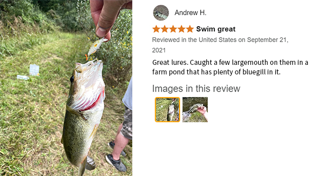 panfish lures