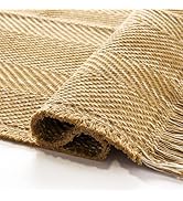 BESTSWEETIE 3x5 Washable Rug Hand-Woven Low Pile Soft Modern Farmhouse Bohemian Decor Reversible ...