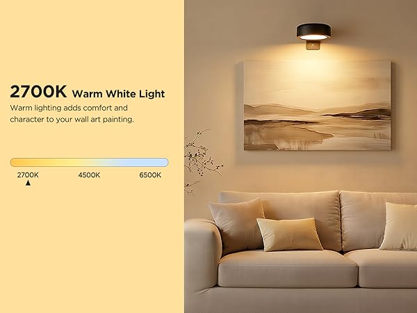 picture light