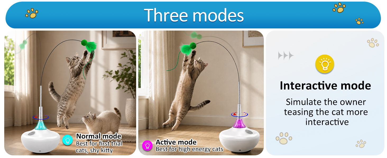 cat toys interactive