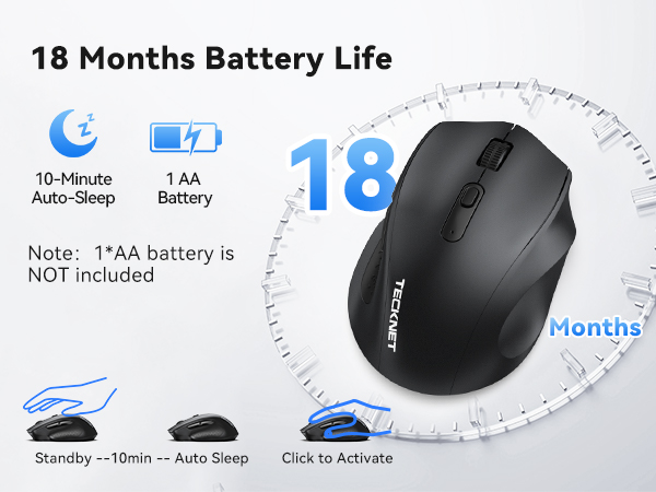 mouse