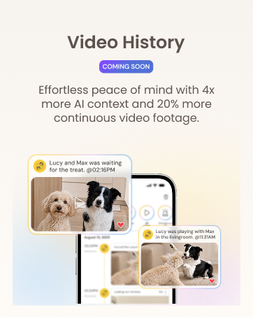 Video History
