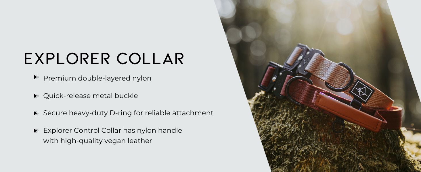 Explorer Collar