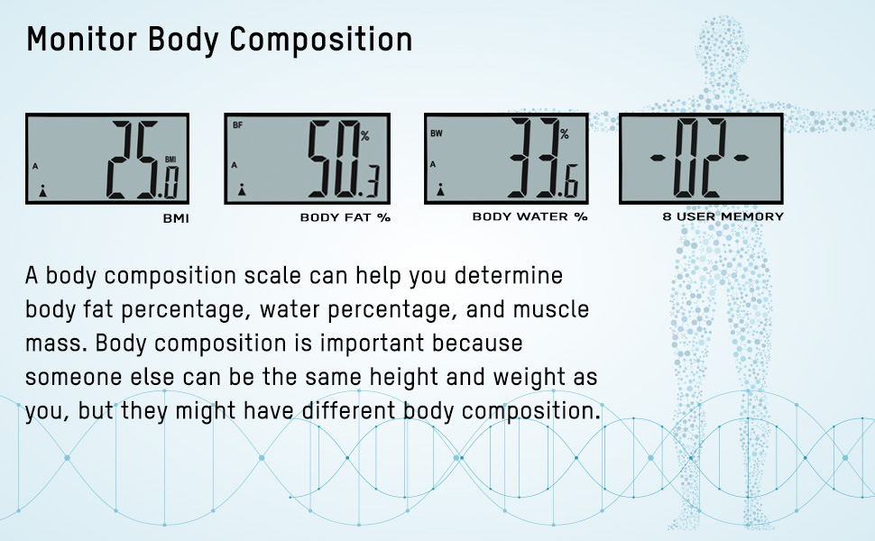 Body Composition Scale