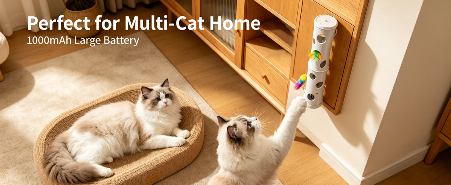 interactive cat toy