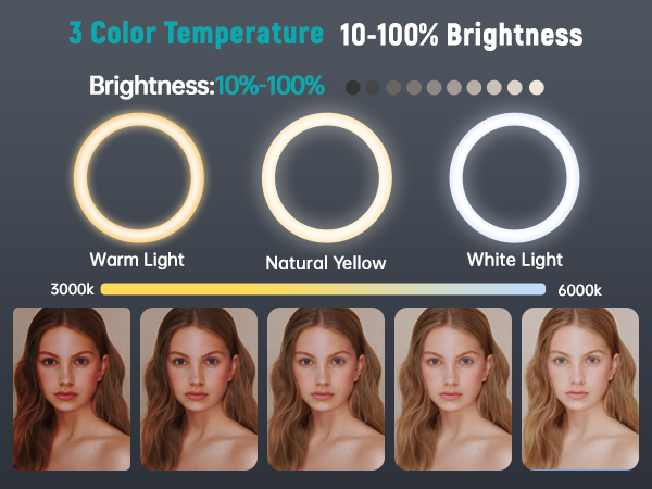LED Ring Light brightness