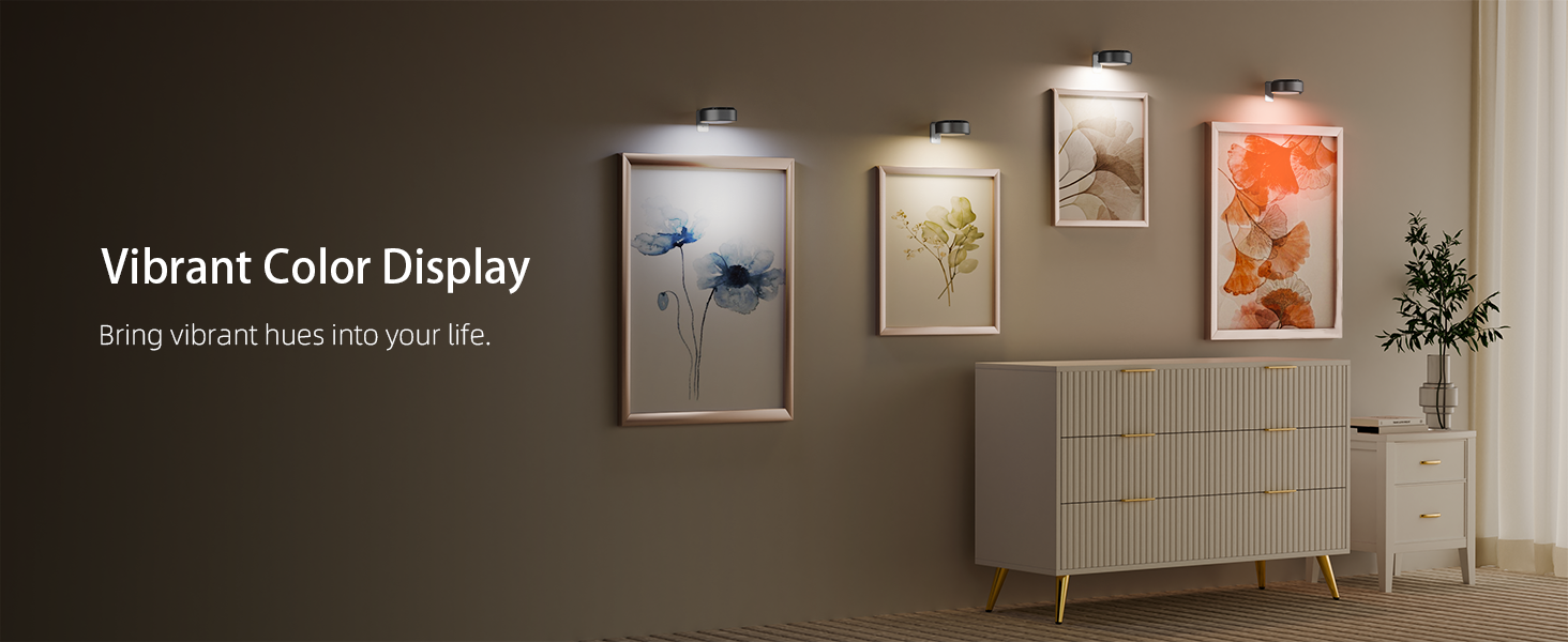 Picture Lights for Wall