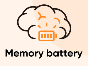 built-in memory battery for preserving time and clock settings in case of power outage