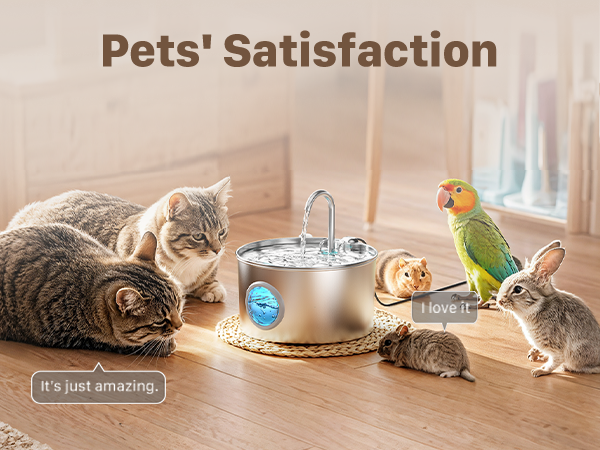 cat water fountain cat fountain pet water fountain water fountains for cats indoor pet fountain