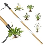 YIAD DRAGON HORSE Stand Up Weed Puller Tool - 4-Claw Steel Head, 31"-44.5" Adjustable Long Handle...