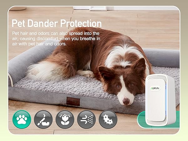 Pet Dander Protection