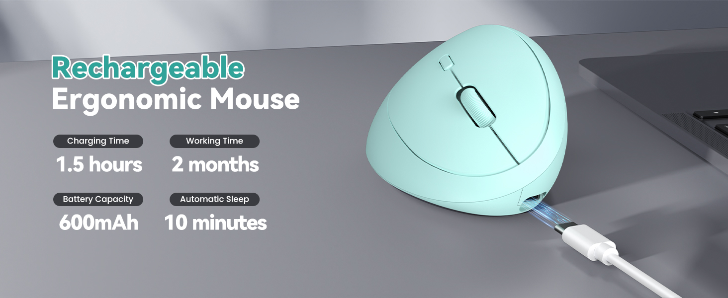 Ergonomic Mouse