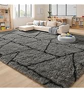 FALARK Area Rugs for Living Room Bedroom, Washable Non-Slip 5x7 Feet Grey Throw Rug, Soft Plush S...