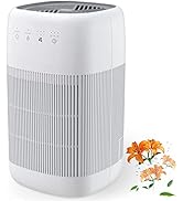 Air Purifier and Dehumidifier in 1, Afloia Q10 True HEPA Air Purifier with H13 HEPA Filter, Small...
