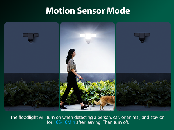 motion sensor