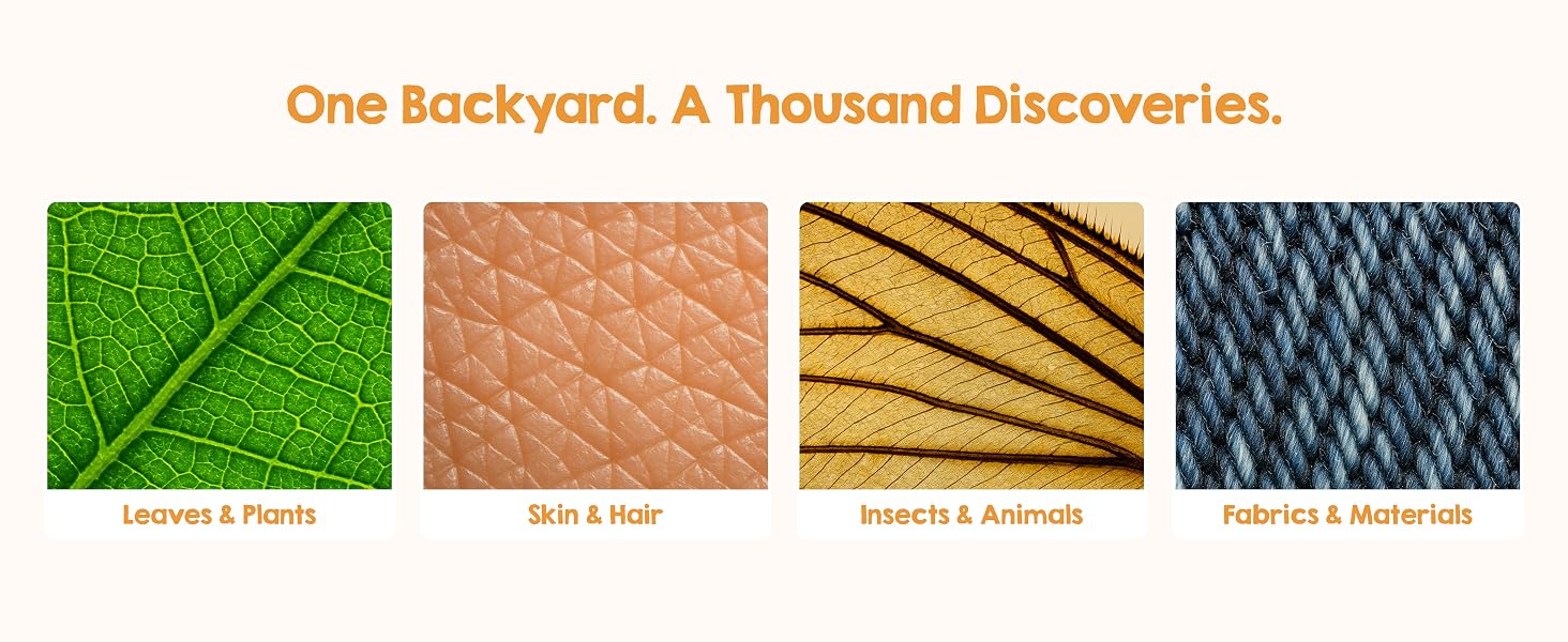 See the details of leafes, skin, insects and more