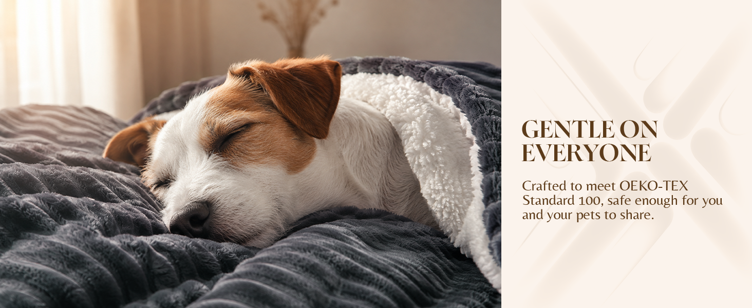 OEKO-TEX heated blanket safe for pets, electric throw for couch, gentle sherpa for dogs and family