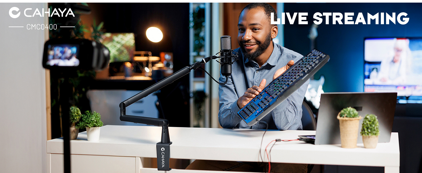 interview microphone desk arm