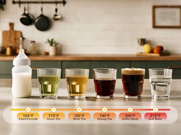 Electric Kettle with Temperature Control