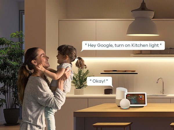 google home