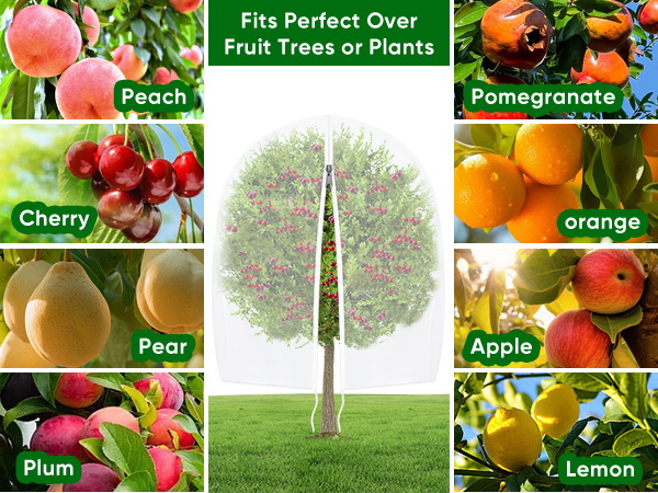 Large_Fruit_Trees_Netting_Zipper_2Pcs_10X10_FT_with_Drawstring