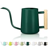 Watering Can Indoor Plants, 35oz Small Watering Can Indoor Stainless Steel Metal Watering Can Mod...
