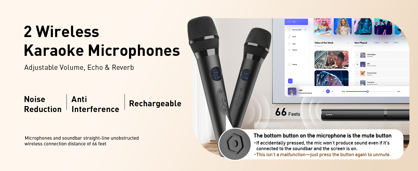 2 Wireless Karaoke Microphones