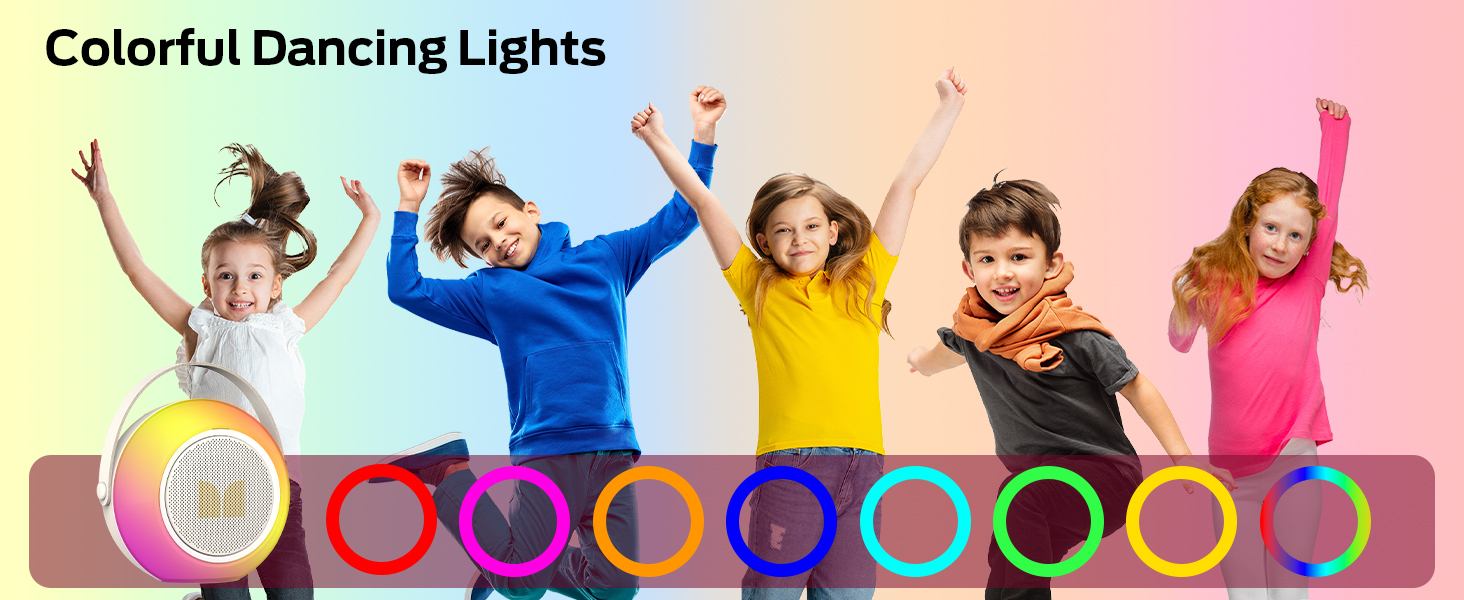 portable wireless speaker