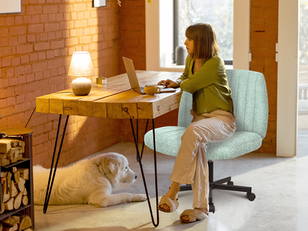 home office chair, living room chair, office chair, conference room chair, vanity chair, salon chair