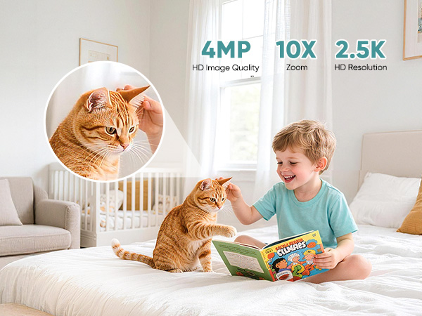 battery powered pet camera