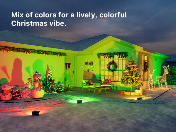 Christmas Flood light