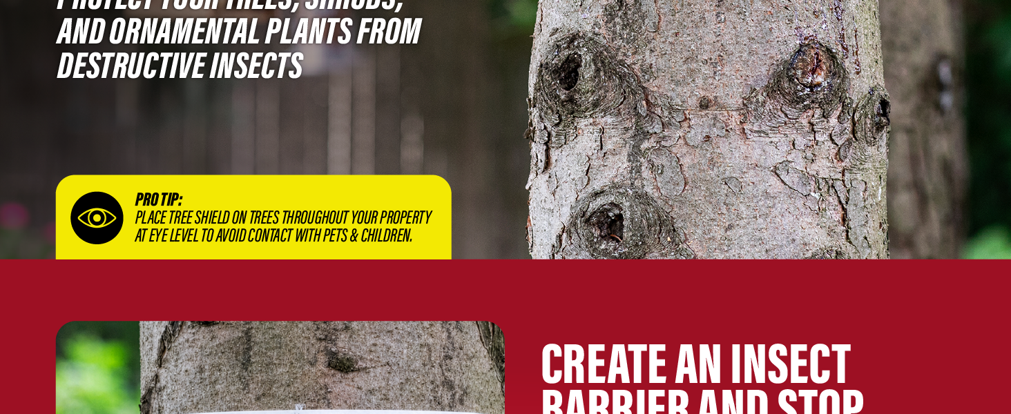 Pro tip graphic showing tree shield placement to help protect trees from destructive insects