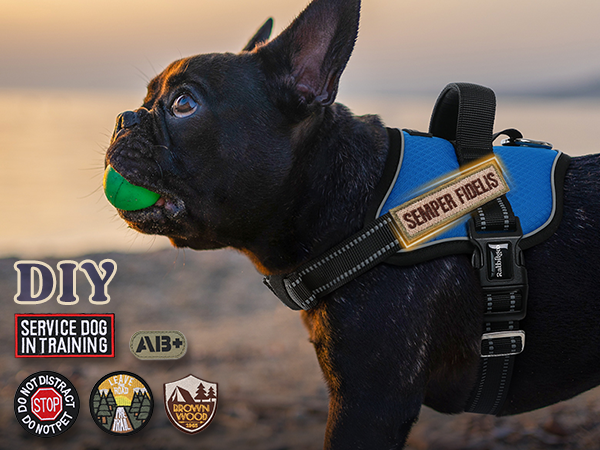 dog harness2-2