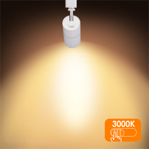 h type track lighting heads 3000K