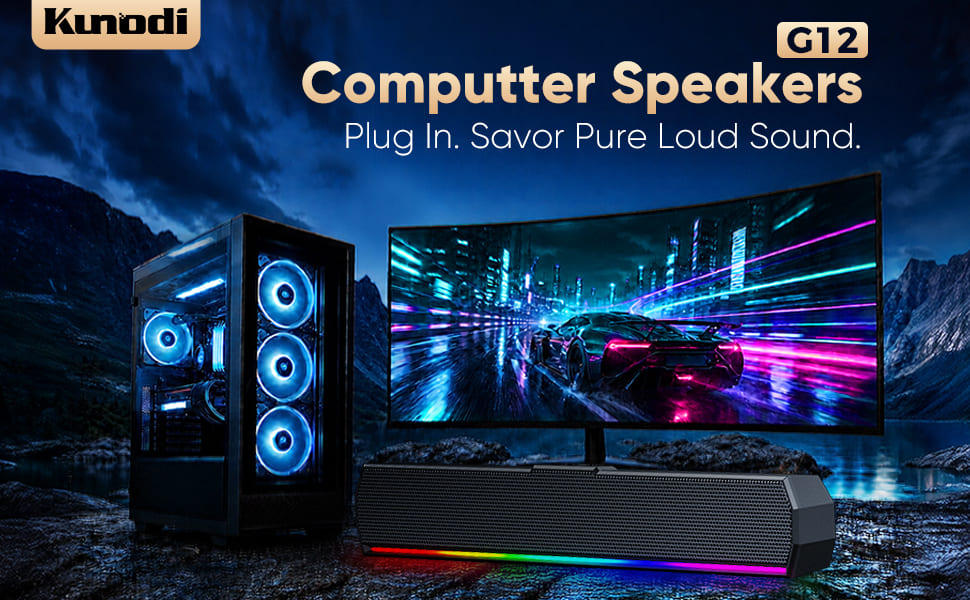 COMPUTER SPEAKERS