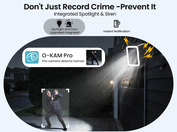 Preventing crime