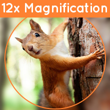 12X Magnification