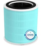 Toxin Absorber Filter H14 Replacement Filter Compatible with DAYETTE Air Purifier AP401 AP402, 4-...