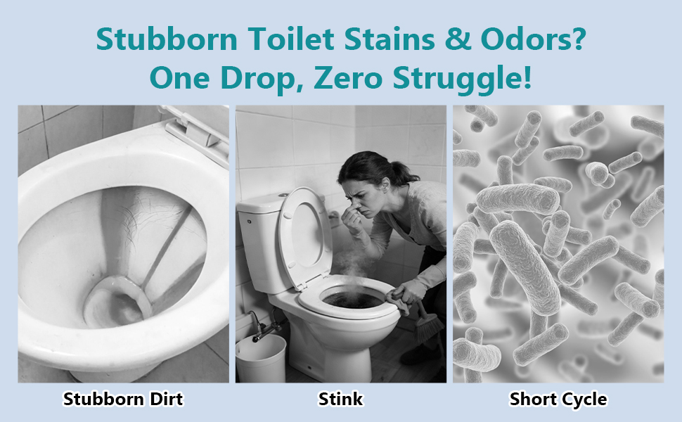 Automatic toilet bowl cleaner