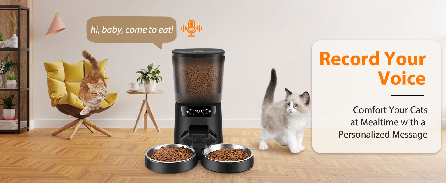 automatic cat feeder 2 cats