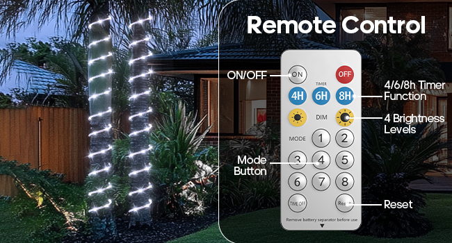 Remote control, timing and memory function