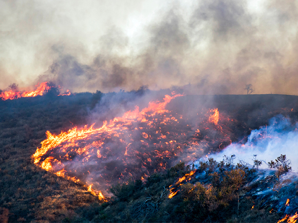 air purifier for wildfire