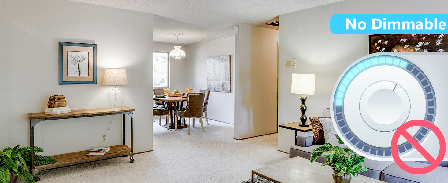 Non-Dimmable