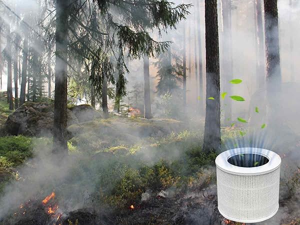 LQ-Mini-AA-1200900-A07