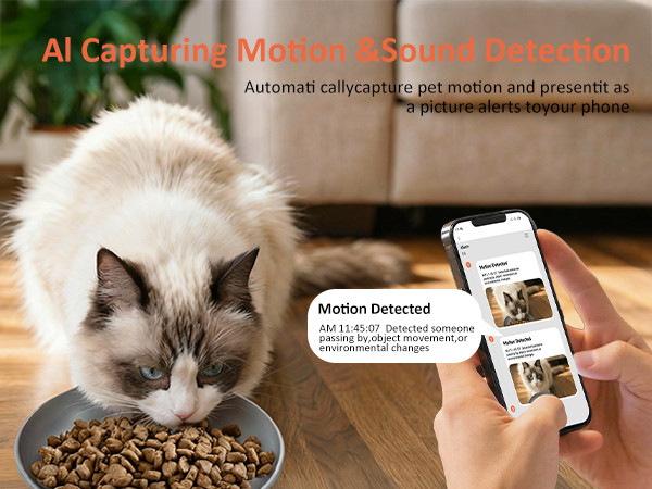 Al Capturing Motion &amp;amp;amp;Sound Detection