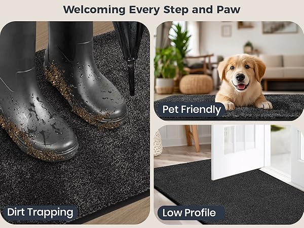 Dirt Trapping Doormats Pet Friendly Low Profile