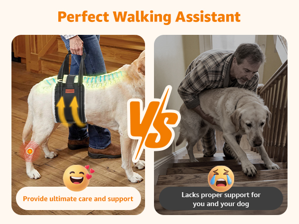dog sling carrier