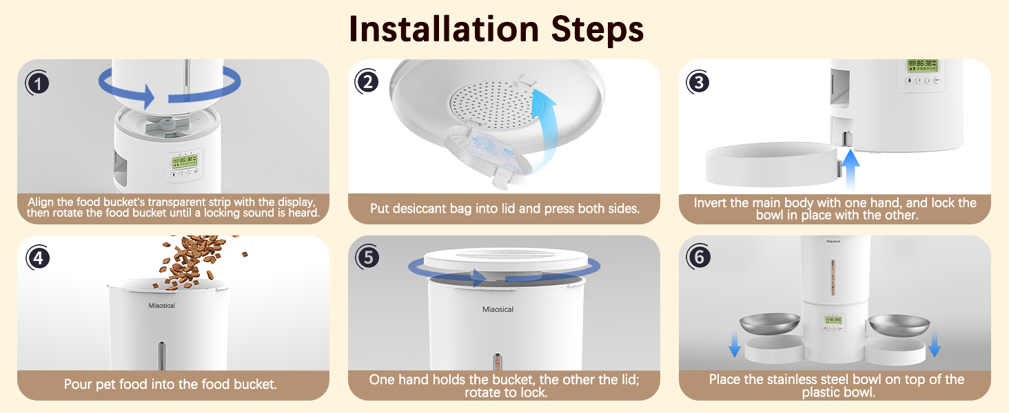 dual cats auto feeder