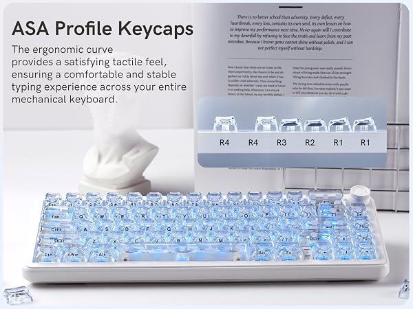 fully transparent ASA-profile clear keycaps