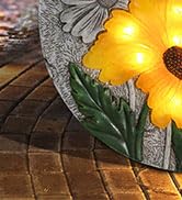 stepping stone outdoor